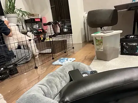 kensnb online show from 11-01-25, 09:11