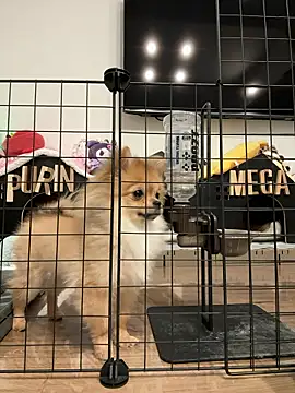 kensnb online show from 03-09-26, 09:08