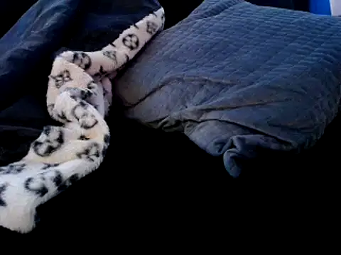 Snapshot of Niquitasparkles chatting on 12-22-24, 09:31 Niquitasparkles online show from 12-22-24, 09:31