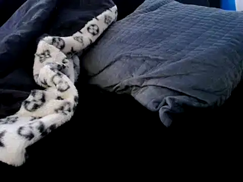 Snapshot of Niquitasparkles chatting on 12-23-24, 12:35 Niquitasparkles online show from 12-23-24, 12:35