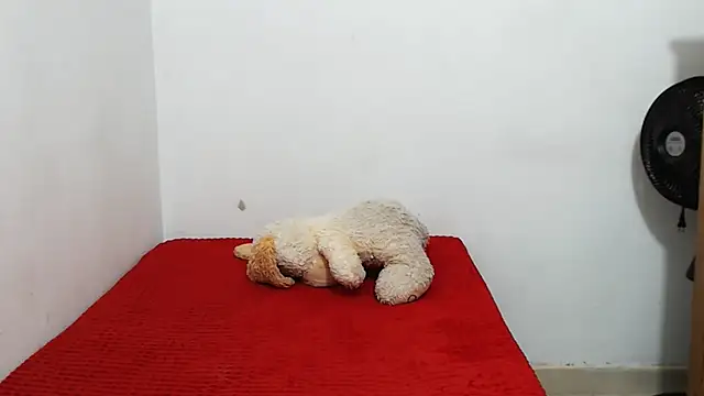 ariellth online show from 05-12-26, 04:26