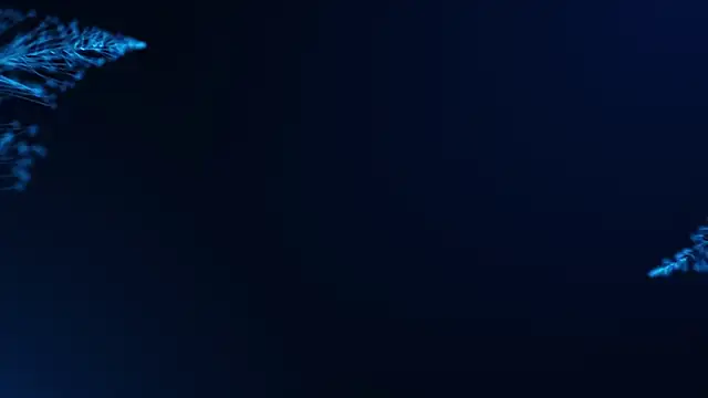 Hr Frk Olsen online show from 02-15-25, 04:56