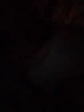 Snapshot of Work4Crypto chatting on 03-21-26, 04:28 Work4Crypto online show from 03-21-26, 04:28