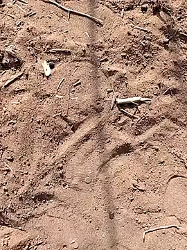 Snapshot of paugrande453 chatting on 09-24-25, 10:51 paugrande453 online show from 09-24-25, 10:51