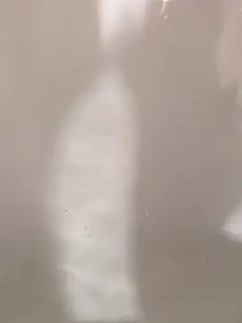 SensualG300 online show from 02-12-26, 10:38