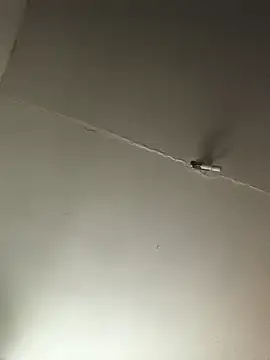 Ozomitro online show from 10-25-25, 02:35