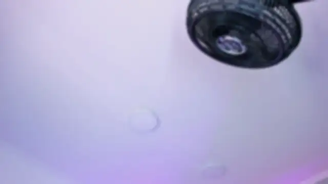 AmberiniHoffman online show from 10-26-25, 12:11