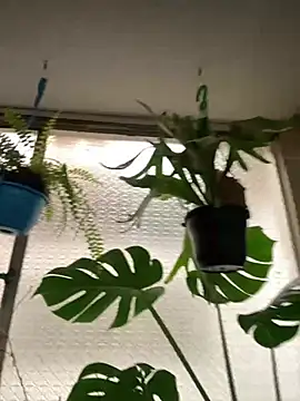 Miss oliviaa online show from 03-10-26, 06:02