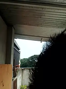 luchoarr online show from 12-21-25, 01:07