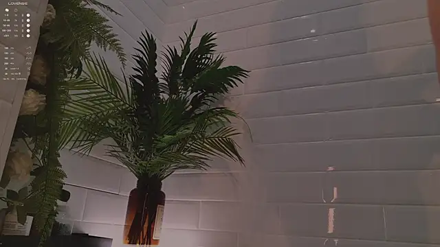 MichaellaMoon online show from 12-03-25, 02:15