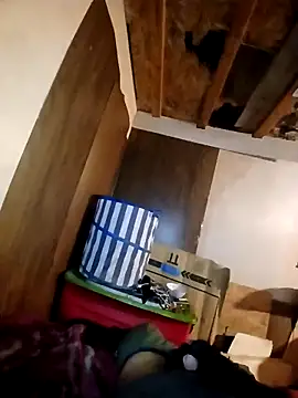 Snapshot of beliqi chatting on 11-15-25, 05:49 beliqi online show from 11-15-25, 05:49