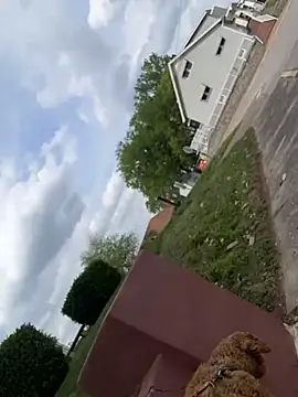 EllaSnow online show from 04-15-26, 08:20