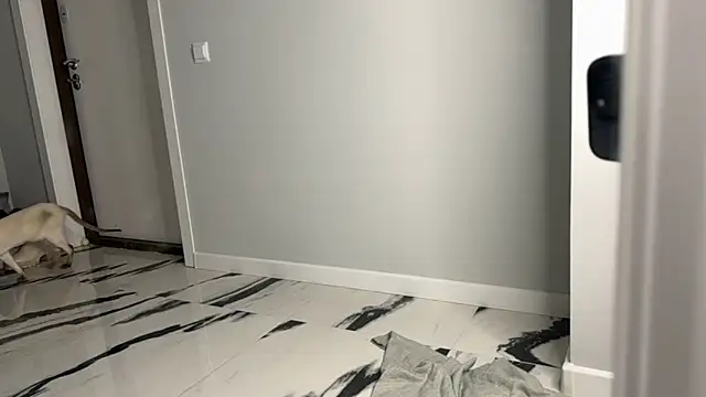 Snapshot of elisa_moon chatting on 12-23-24, 05:06 elisa moon online show from 12-23-24, 05:06