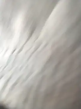 jellydicks online show from 03-23-26, 08:18