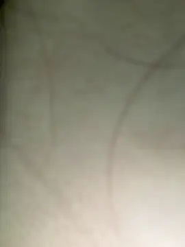 xyebobs online show from 06-03-26, 02:33