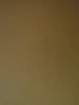 Tamilrojanew online show from 04-11-26, 05:23