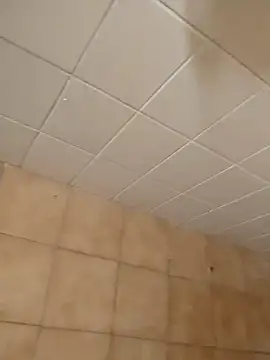 moder066 online show from 12-11-24, 07:46