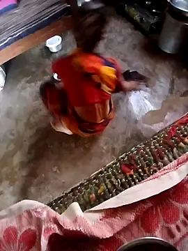 Snapshot of poojaji2024 chatting on 12-04-24, 04:54 poojaji2024 online show from 12-04-24, 04:54