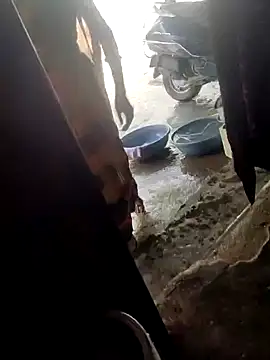 Snapshot of poojaji2024 chatting on 03-16-25, 04:41 poojaji2024 online show from 03-16-25, 04:41