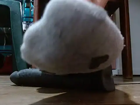 sammy goddess online show from 02-08-26, 07:28