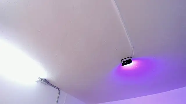 Amy Kiitty  online show from 02-15-26, 12:58