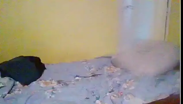 Regularfucker28 online show from 04-23-26, 05:37