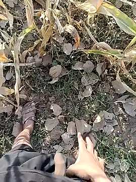 Piyush 2024 online show from 03-11-26, 01:55