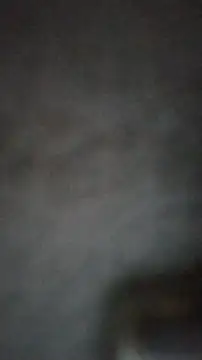 Snapshot of axelongshaft69 chatting on 02-25-25, 03:49 axelongshaft69 online show from 02-25-25, 03:49