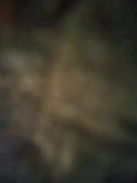 axelongshaft69 online show from 04-07-26, 06:52