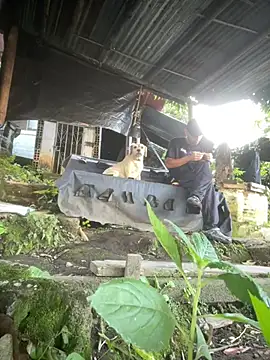 Jestebanano online show from 03-16-26, 12:20