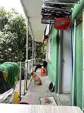 Jestebanano online show from 05-11-26, 02:45