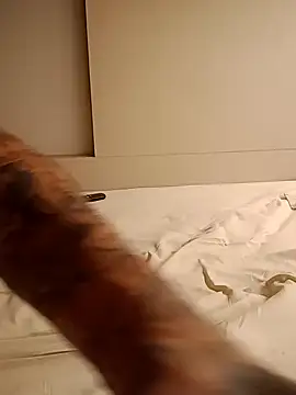 Snapshot of rolesexy chatting on 01-19-25, 02:47 rolesexy online show from 01-19-25, 02:47