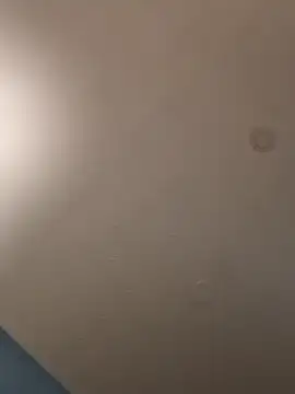 geilerschwanz64 online show from 01-21-25, 05:16