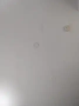 geilerschwanz64 online show from 09-22-25, 07:05