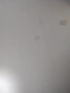 geilerschwanz64 online show from 10-10-25, 06:01