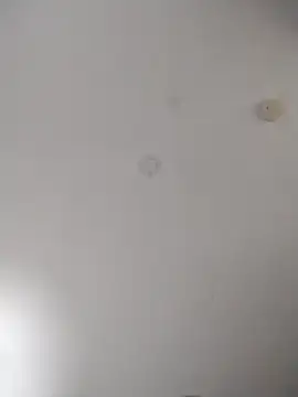 geilerschwanz64 online show from 10-27-25, 02:15