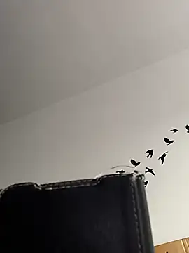 bogland33 online show from 03-05-26, 07:59