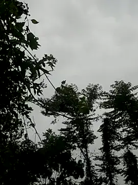 kumaricapalsex2 online show from 01-27-25, 04:20