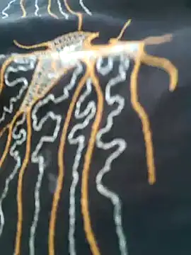 kumaricapalsex2 online show from 02-06-25, 11:43