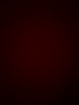 Snapshot of DINA-FOX chatting on 01-30-25, 11:55 DINA-FOX online show from 01-30-25, 11:55