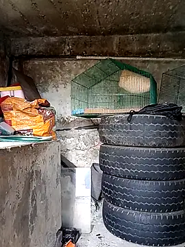 Snapshot of Elvishcassie_ chatting on 10-01-25, 06:58 Elvishcassie  online show from 10-01-25, 06:58