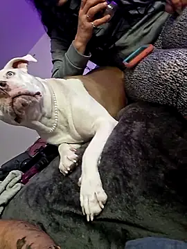 Jokergotherwett online show from 03-03-26, 08:09