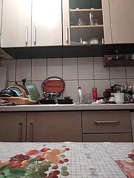 vulpe8400 online show from 11-27-25, 10:56