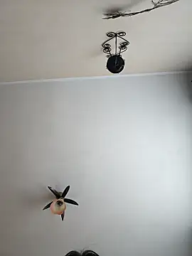 vulpe8400 online show from 04-18-26, 09:02