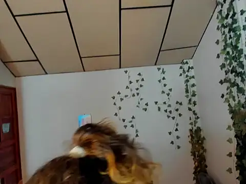 fulfill fantasies1 online show from 02-17-26, 12:56