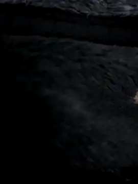 MetalJoint2 online show from 11-30-25, 03:32