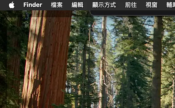 Snapshot of ex199212 chatting on 03-08-25, 01:50 ex199212 online show from 03-08-25, 01:50