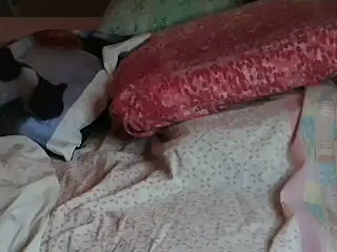 VeneRed online show from 04-06-26, 06:20