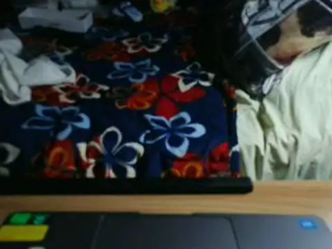 Snapshot of VeneRed chatting on 05-31-26, 08:32 VeneRed online show from 05-31-26, 08:32