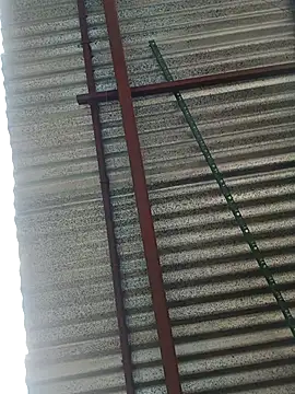 elputoflaco online show from 01-09-26, 11:46